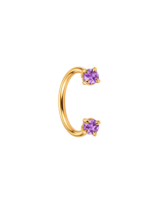 Piercing Horseshoe narine violet - Acier