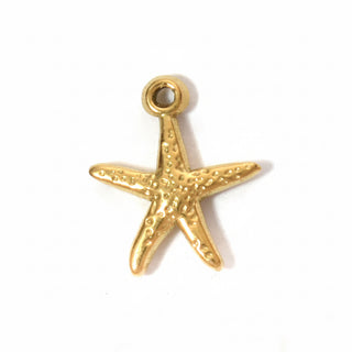 Charms étoile de mer
