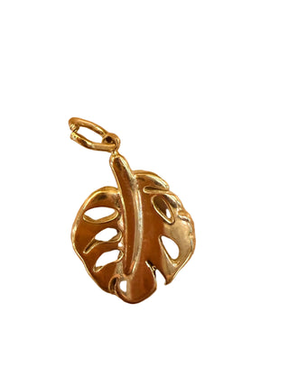 Charms monstera