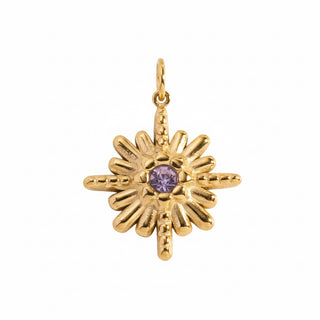 Charms étoile polaire violette