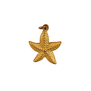 Charms etoile de mer