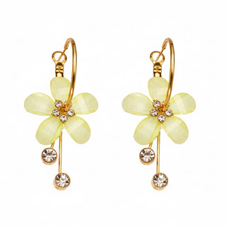 Boucles fleurs anis - acier