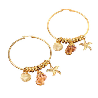 Boucles créoles étoile de mer