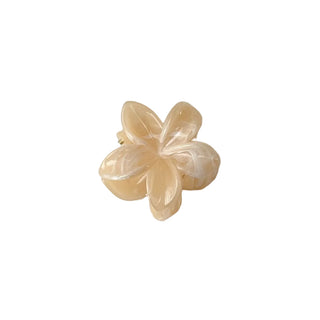Pince tiaré beige