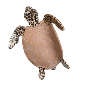 Pince tortue beige
