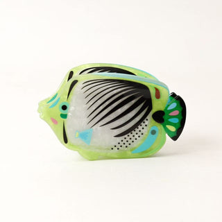 Pince poisson vert&noir